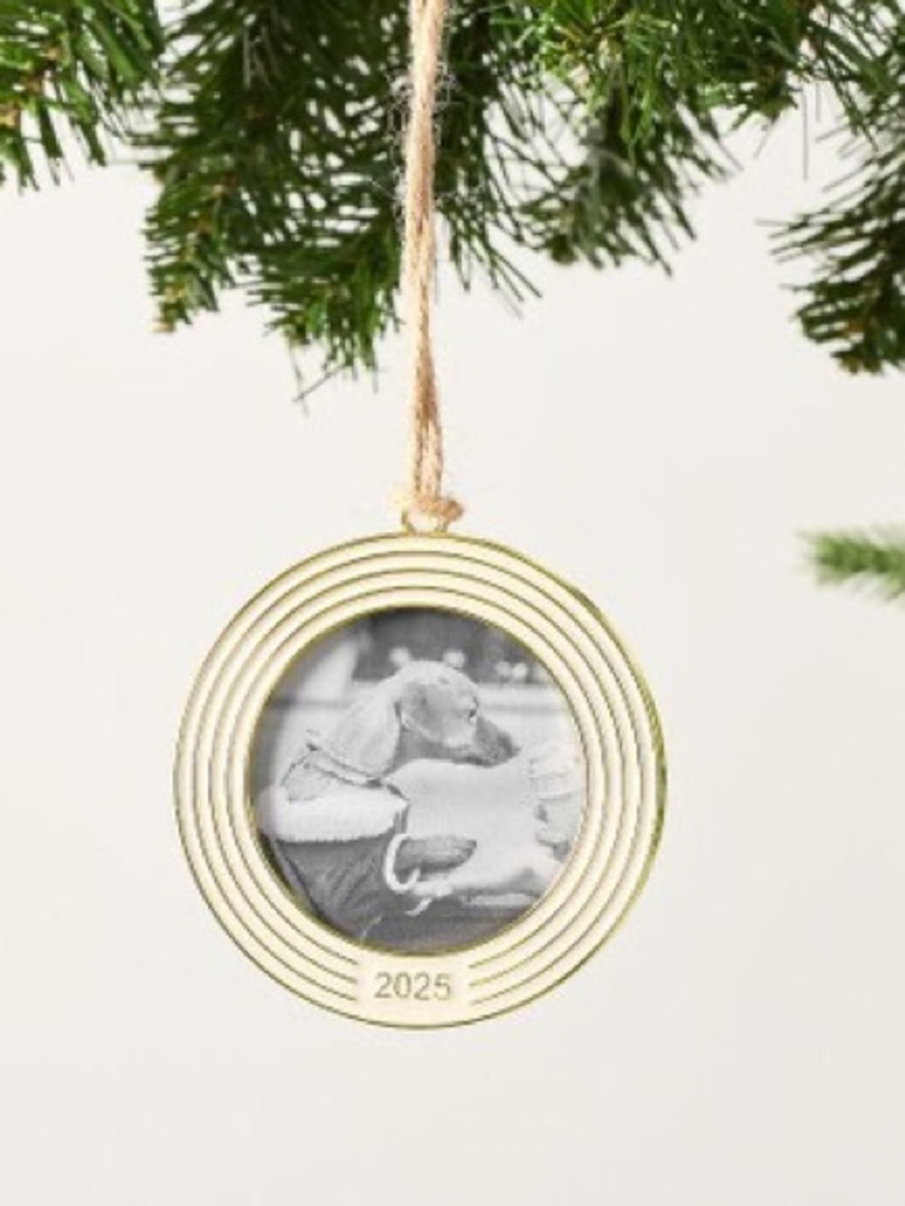NWT Pottery Barn 2025 Dated Enamel Frame Circle Ornament Cream/Gold